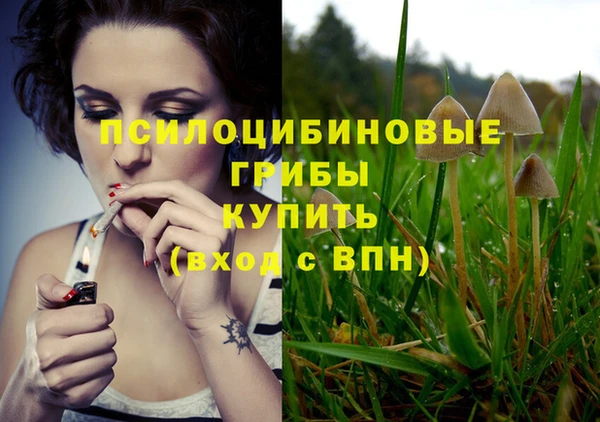 молекула духа Алзамай